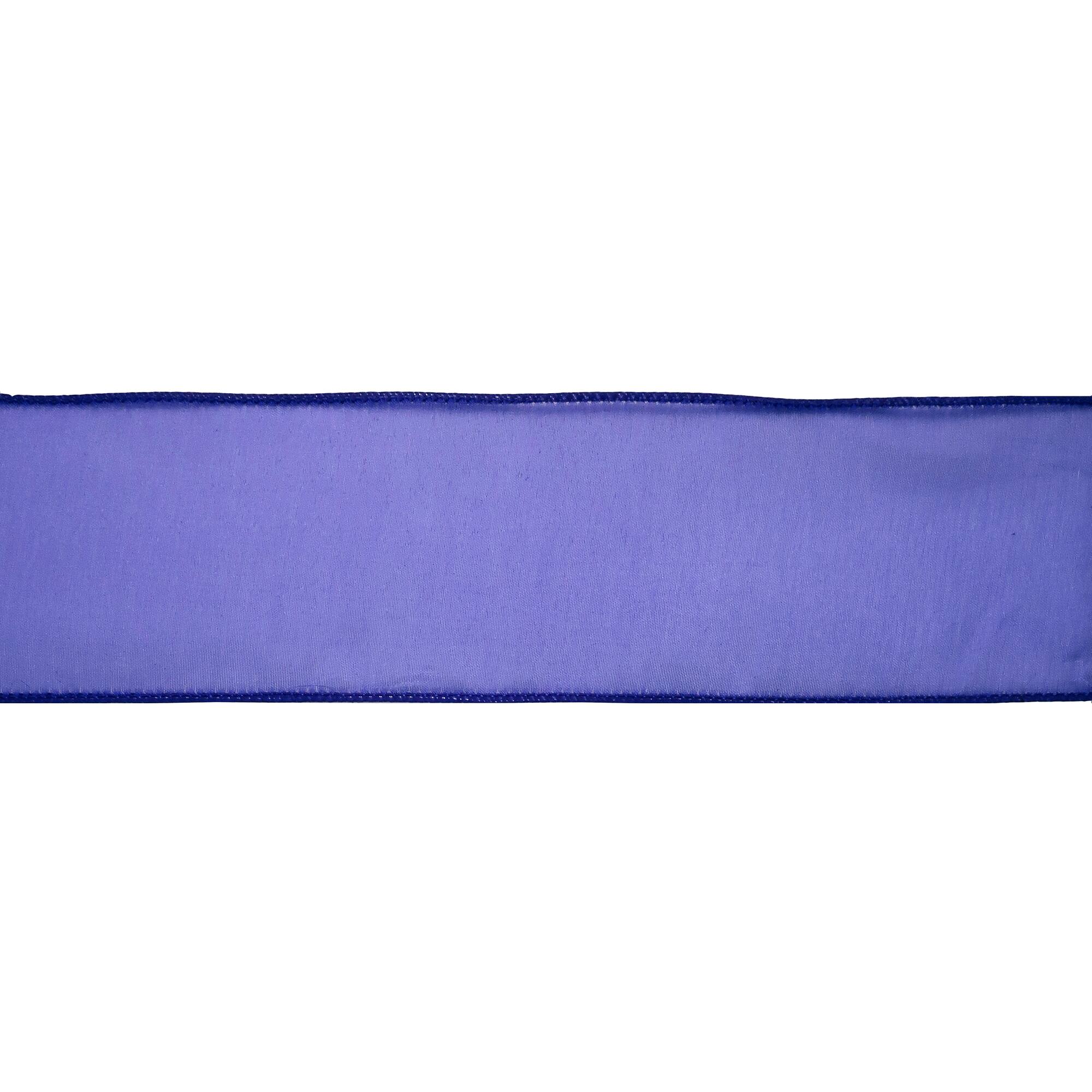 2.5" x 10yd. Sheer Wired Ribbon by Celebrate It® Specialty